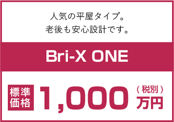 Bri-X ONE