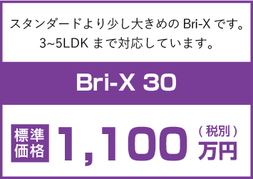 Bri-X 30